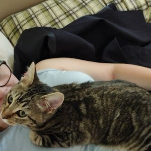 Meet your Posher, Lucy